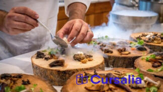 Ofertas De Formacion En Logrono Y La Rioja Oferplan La Rioja